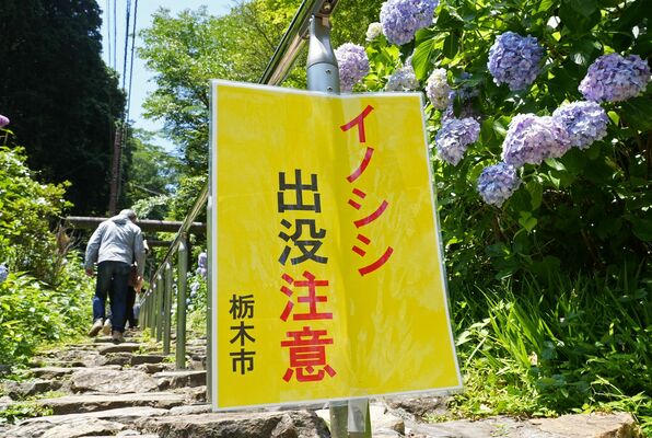 坂に掲示している看板