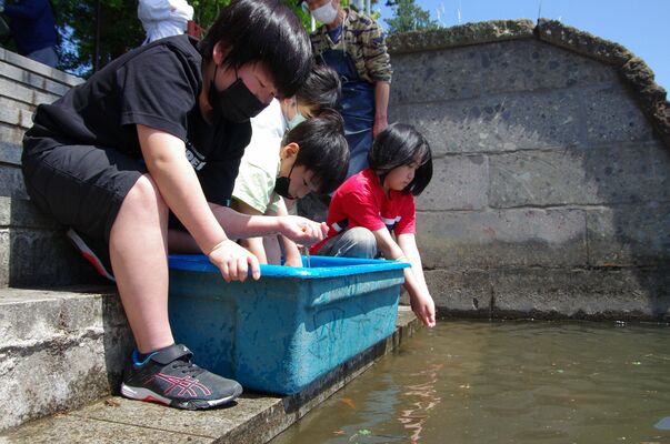 魚を川に放流する子どもたち