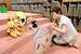 ぬいぐるみたちに絵本を読み聞かせる職員