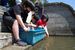 魚を川に放流する子どもたち