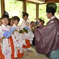 「紫のアジサイが好き」稚児たちが献花　益子・太平神社　自然の恵みに感謝と無病息災願う