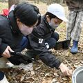 落ち葉めくって 生き物みっけ! 那須のグッドニュースネイバーズで田代友愛小児童が調査