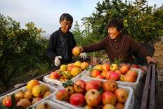 2025年ザクロ産業発展会議が中国のソウ荘市で開催