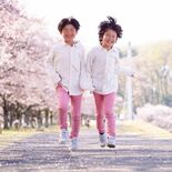 桜フォトコンテスト　さくらの古川さんが大賞　氏家観光協会が主催