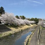【お茶でもしながら　小説家・村崎なぎこの日常】（24）どっちが先か