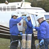 豚熱から養豚場を守れ イノシシ向け経口ワクチンをヘリで散布 栃木県対策協議会