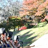 大田原・御殿山公園で紅葉まつり　土佐楓など80本、月末まで見頃