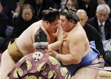 両横綱、安青錦が首位守る