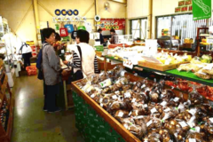 年末セールに来店をとちぎ農産物直売所　よっとこれ　ＪＡしもつけ