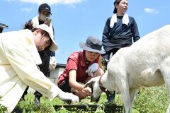東洋大生が農業体験ツアー　鹿沼で蜂巣ゼミが企画　野菜の収穫やヤギの世話に汗