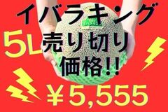 茨城県産イバラキング5Lが今シーズン最終価格に! 産地直送通販サイト「JAタウン」で販売中