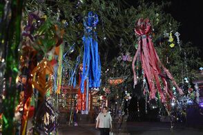 夜の境内彩る七夕飾り　佐野・浅間神社で…