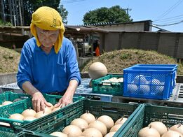 栃木市で花火玉の天日干し作業進む　県内…
