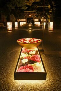 足利学校や鑁阿寺をライトアップ