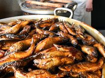 大田原で「鮎甘露煮」作り