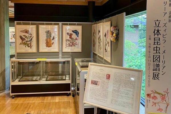 展示が行われている県立日光自然博物館会場