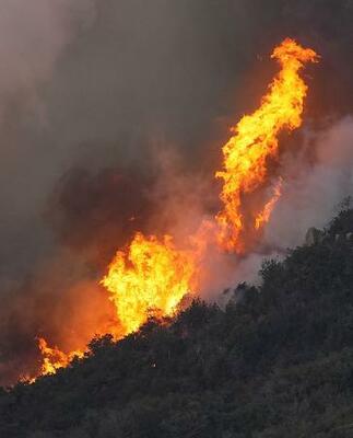 激しく炎を上げる、岡山市南区と岡山県玉野市にまたがる山林火災現場=昨年3月25日(共同通信社ヘリから)