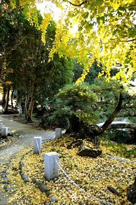 足利・池のある静かな日本庭園