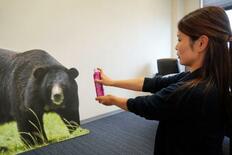 国産クマスプレー注文殺到