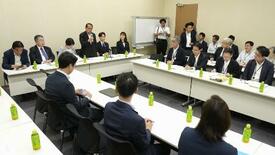 救済法案、野党が提出へ
