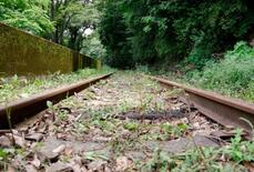 静岡・大井川鉄道の復旧工事公開