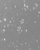 小惑星「Meizen」命名