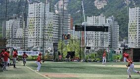韓国スポーツ界に危機感、文武両道求める声も