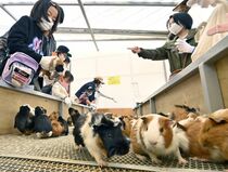 真岡りす村閉園