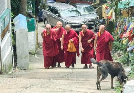　インド・ダラムサラの寺院近くを歩く僧侶ら＝７月（共同）