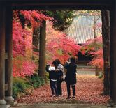 第18回下野新聞紙上写真コンテスト「選外佳作」