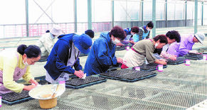 地域を彩り 活性化に貢献