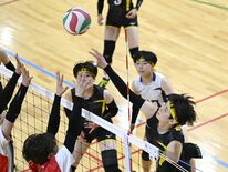インターハイ栃木県予選バレー女子 国学院栃木が4連覇 県総体の雪辱果たす