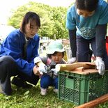音楽や工作楽しむ、森の探検も　子どもフェスタin文化の森2025ににぎ…