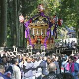 担ぎ手300人「大みこし」勇壮に　真岡・千代ケ岡八幡宮　地域を思う心意気で実現
