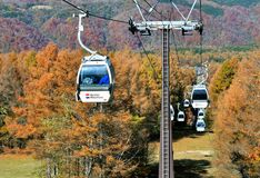 ゴンドラから紅葉楽しんで　那須塩原