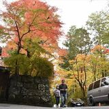 日光の社寺周辺で紅葉見頃　錦秋の足いろは坂より下へ　色づく華蔵院の坂、観光客も満喫