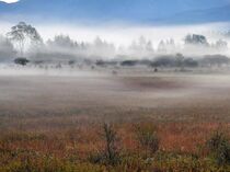 草紅葉が見頃　奥日光