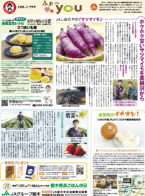 2022年11月18日(金)掲載面
