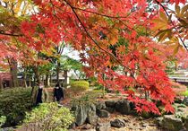 鹿沼・掬翠園の紅葉