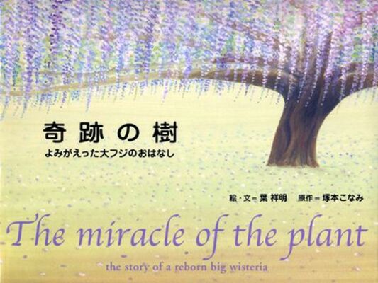 奇跡の樹　よみがえった大フジのおはなし