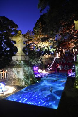 ライトアップした唐澤山神社の参道