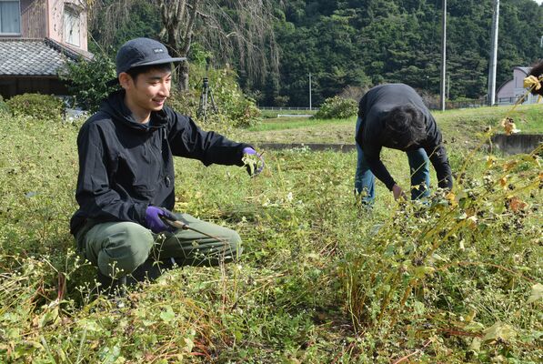 ソバの収穫作業に汗を流す國府谷さん（左）