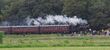 白煙を上げて走行するＳＬと集まった鉄道ファン