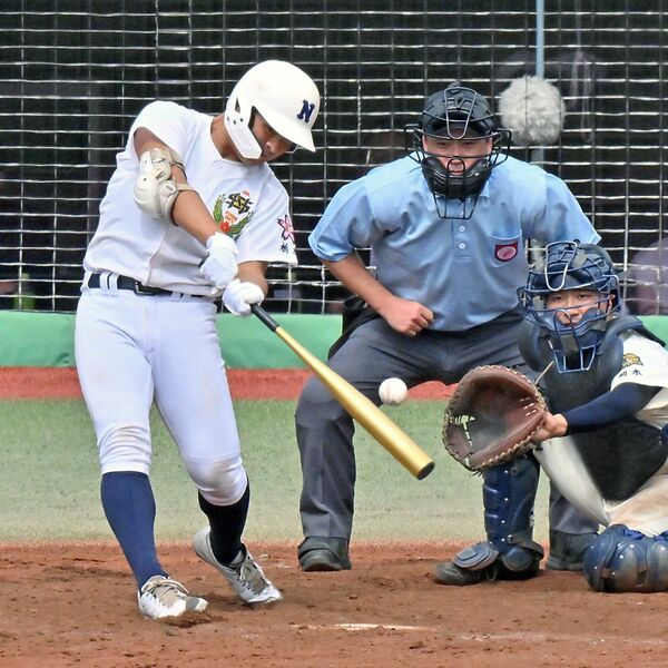 秋季栃木県高校野球】「自分が決める」 代打で熱戦に終止符打った佐野