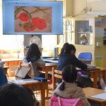 農業をより身近に　石橋北小で「誠和」が出前授業　トマトの歴史など解説
