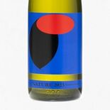 せんきん（さくら市）が新作発売　スパークリング日本酒