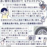 かまれると、痛みが全身に