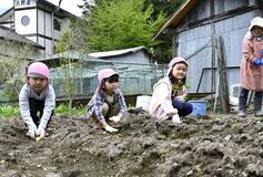 伝統野菜 継承に一役　