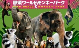 【那須ワールドモンキーパーク】 東京・神奈川・千葉県民限定 入園優待キャンペーンのお知らせ