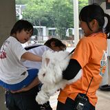 那須どうぶつ王国でドリーム・デイ・アット・ザ・ズー 障がいある子どもたちが動物との触れ合い満喫